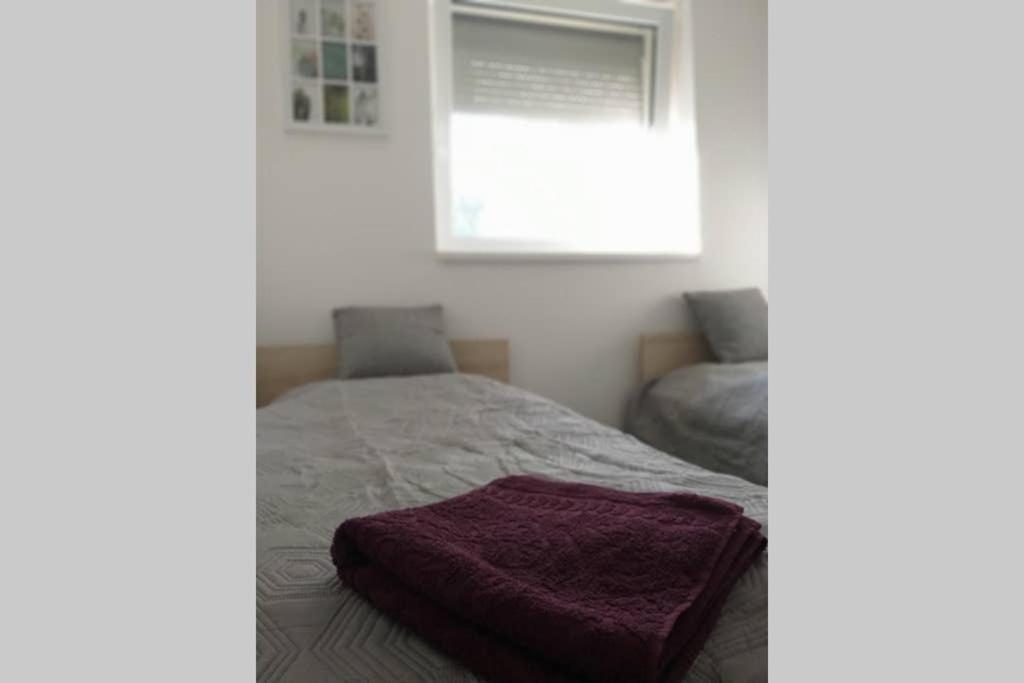 Toelgyerdo Apartman Kismaros 外观 照片