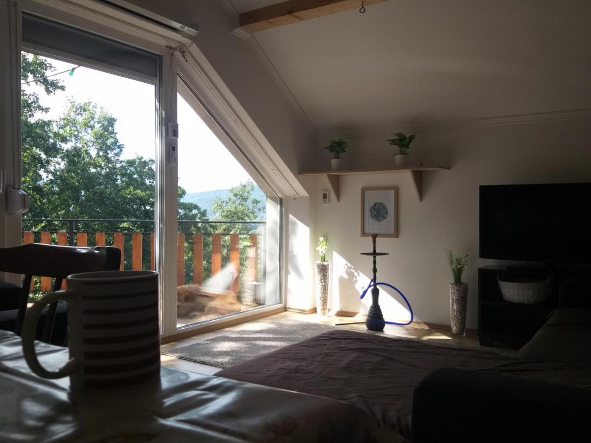 Toelgyerdo Apartman Kismaros 外观 照片