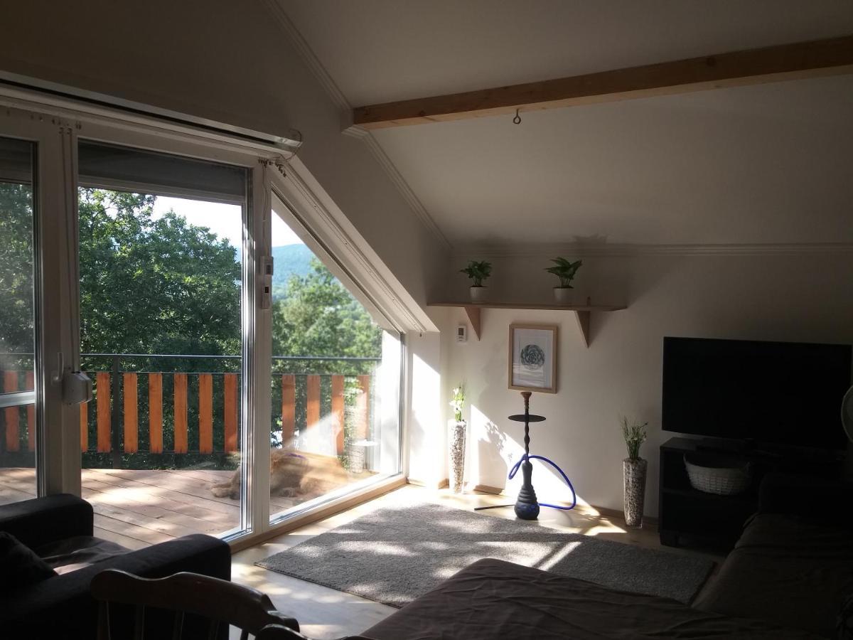 Toelgyerdo Apartman Kismaros 外观 照片